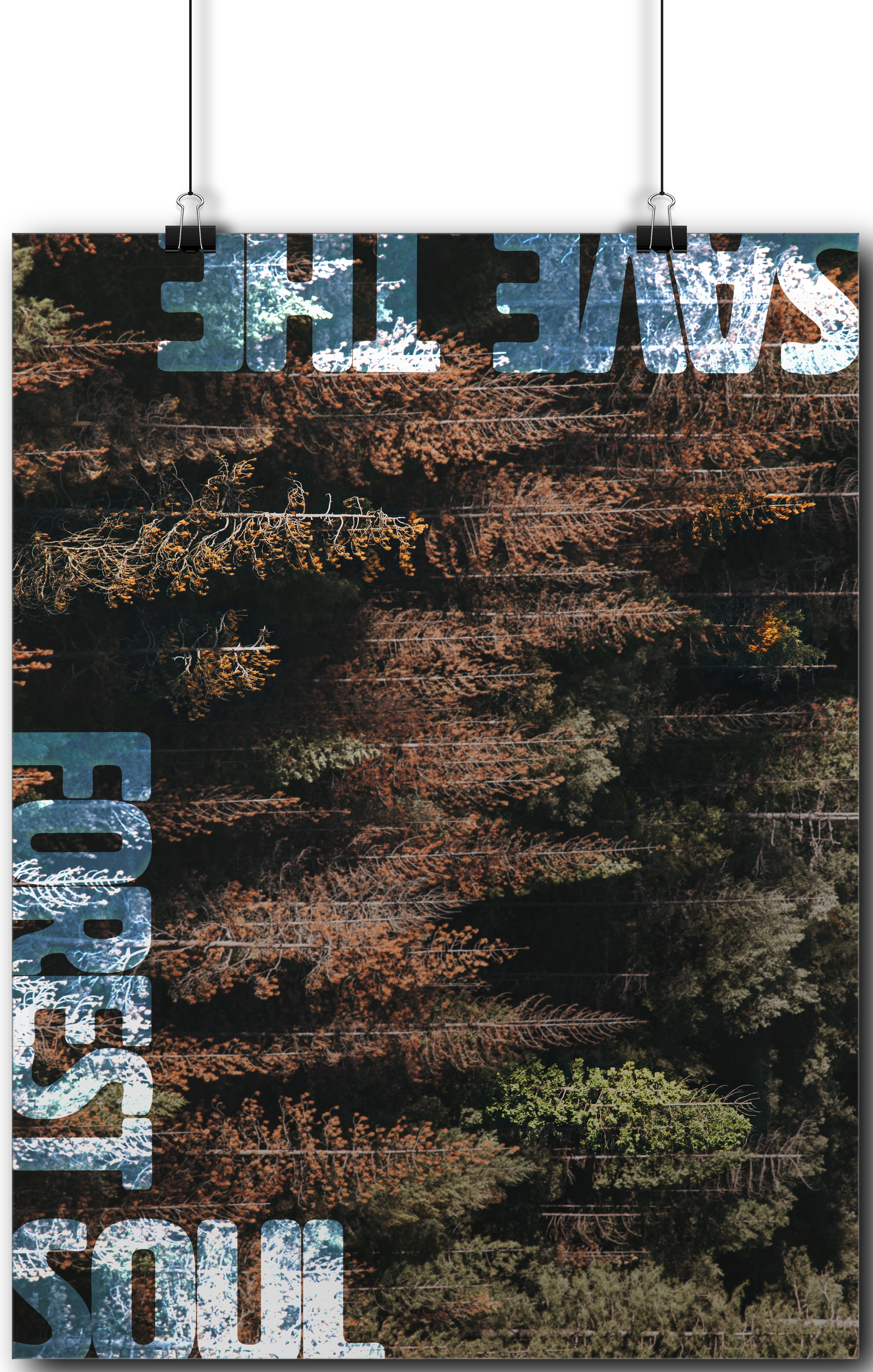 Campaign Poster: Save the Białowieża Forest - Poster 1